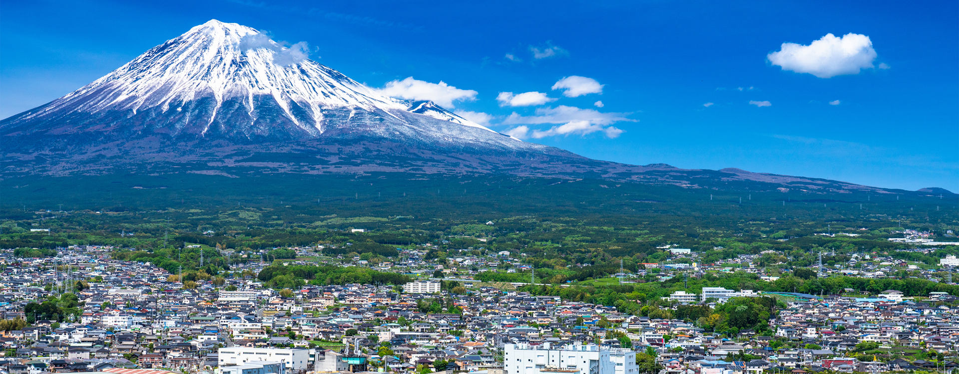 富士山