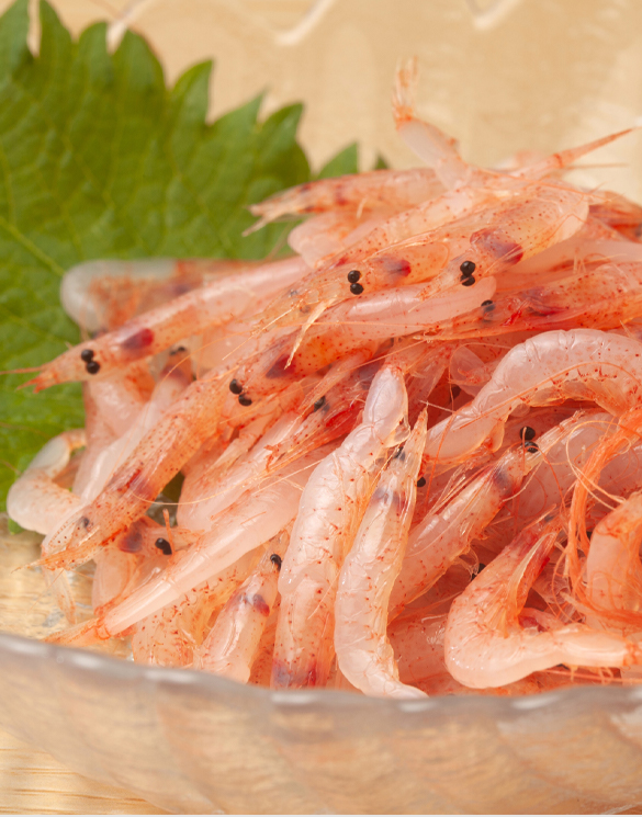 地域密着の不動産相談窓口